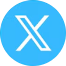 x icon